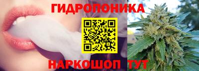 дмт Моздок